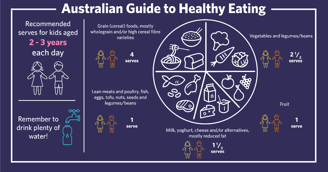 guide to healthy eating 2-3 year olds